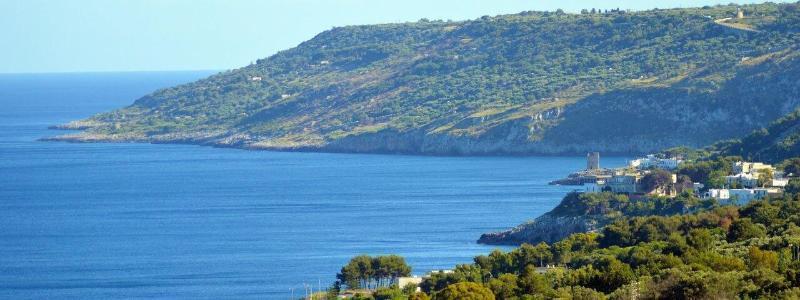 Hotel Il Vascello Marina Serra Dış mekan fotoğraf